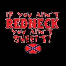 If You Ain't Redneck